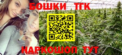 хмурый Гатчина